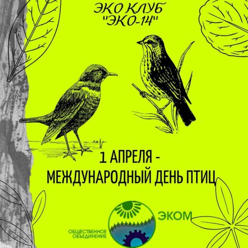 Международный день птиц