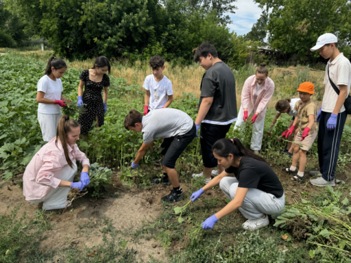 ЕФРЕМОВКА ЖӘНЕ МИЧУРИНО АУЫЛДАРЫНДА ИНВАЗИЯЛЫҚ ӨСІМДІКТЕРДІ ЗЕРТТЕУГЕ АРНАЛҒАН ЭКОЛОГИЯЛЫҚ АКЦИЯЛАР ӨТТІ